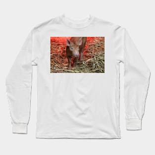 This Little Piggy Long Sleeve T-Shirt